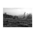thumbnail image 1 of Beata Czyzowska Young 'Foggy Mood 8' Canvas Art, 1 of 4