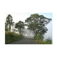 thumbnail image 1 of Beata Czyzowska Young 'Foggy Path' Canvas Art, 1 of 3