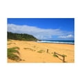 thumbnail image 1 of Beata Czyzowska Young 'Forresters Beach' Canvas Art, 1 of 3