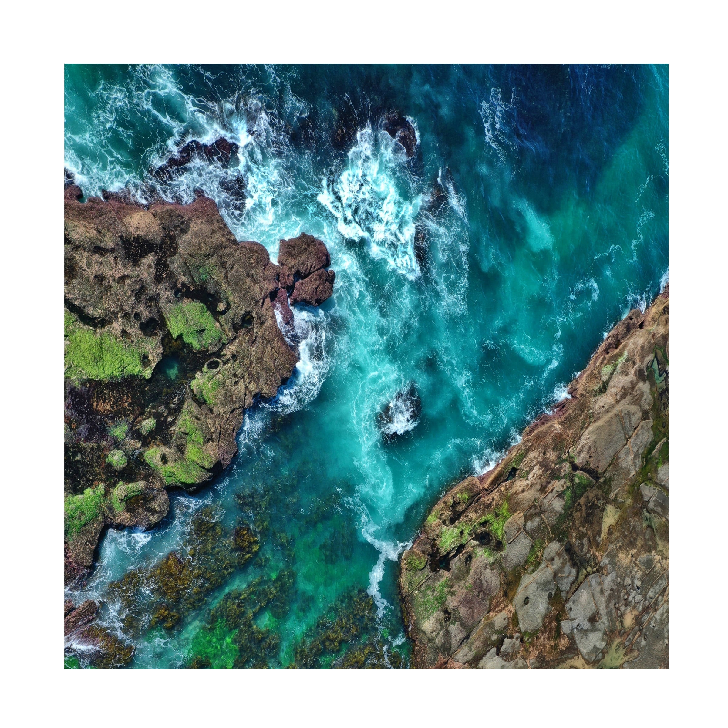 Beata Czyzowska Young 'From Above' Canvas Art