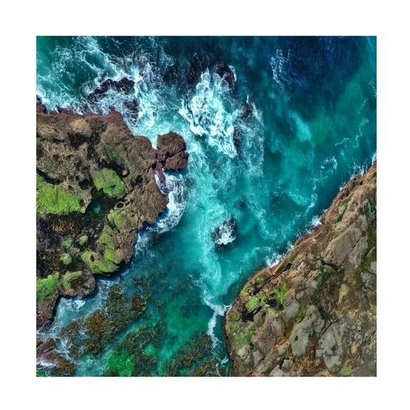 Beata Czyzowska Young 'From Above' Canvas Art