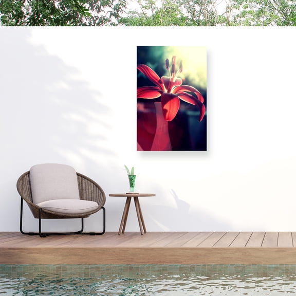 Beata Czyzowska Young 'Lady in Red' Outdoor Canvas