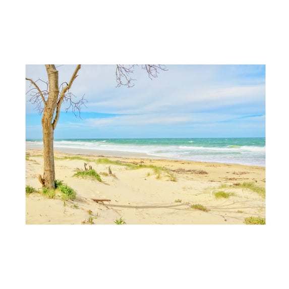 Beata Czyzowska Young 'My Summer' Canvas Art