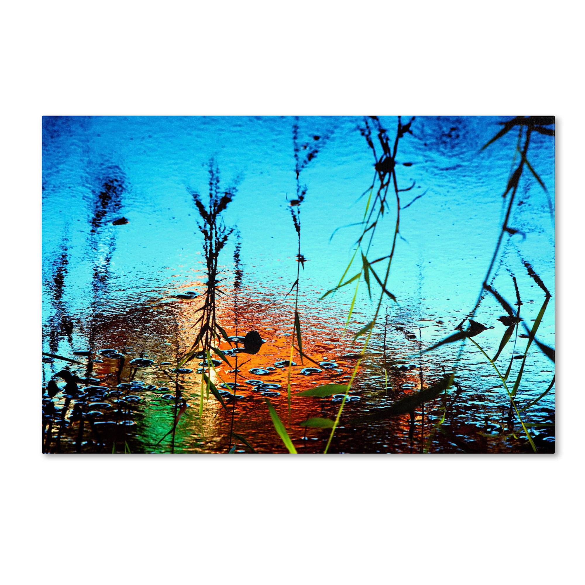 Beata Czyzowska Young 'Painted by Nature' Canvas Art