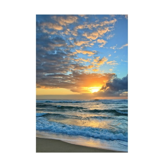 Beata Czyzowska Young 'Rise and Shine 3' Canvas Art