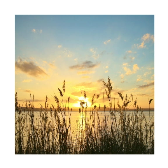 Beata Czyzowska Young 'When The Sun Goes Down' Canvas Art