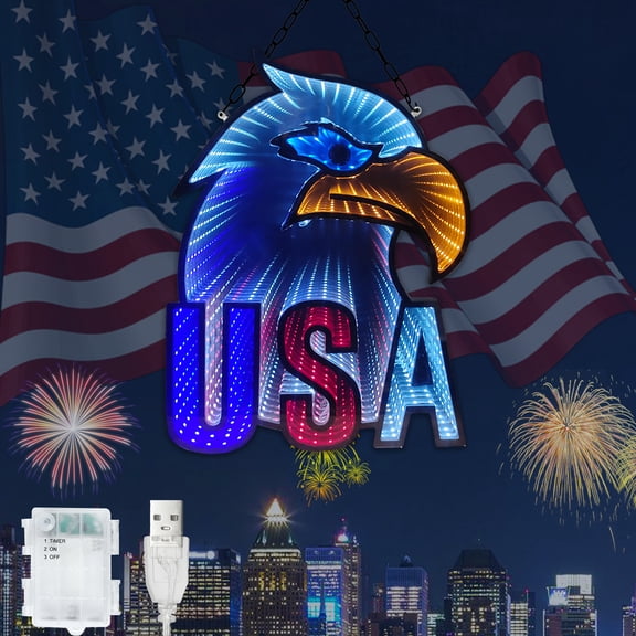 Beatineon USA Eagle Infinity Light, Patriotic Wall Art with Depth Effect, Dual USB & Battery Power with Timer, American Flag Decor for Indoor (Black Frame)