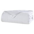 thumbnail image 1 of Beatrice Home Fashions, Down Alt Blanket with Satin Trim, Twin, White, 1 of 6