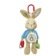 thumbnail image 1 of Beatrix Potter Peter Rabbit Developmental Activity Toy, 1 of 5