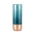thumbnail image 1 of Beau Medium Glass Vase, 1 of 3