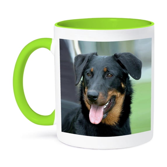 3dRose, Beauceron, 11oz Two-Tone Green Mug