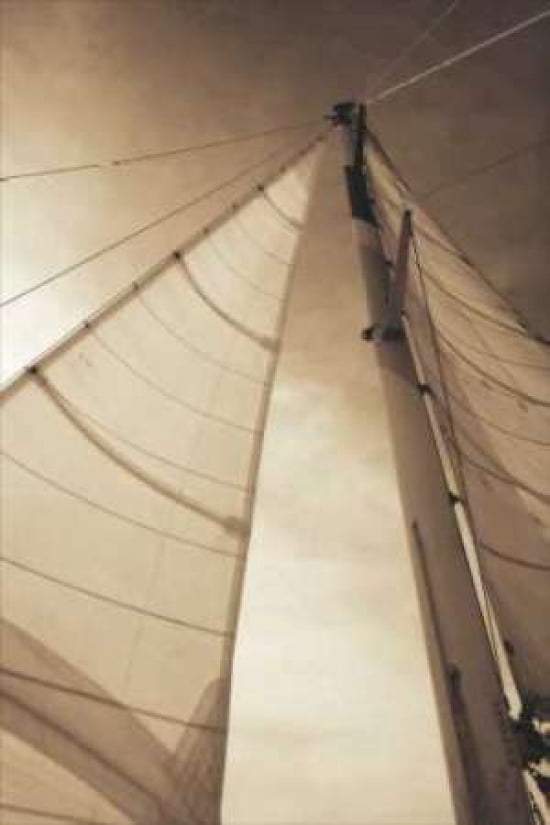 Beaufort Sails II Canvas Art - Alan Hausenflock (24 x 36)