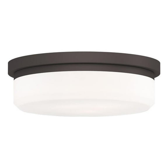 Beaumont Lane Contemporary Steel Ceiling Mount or Wall Mount