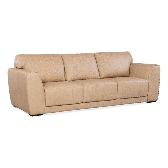 Beaumont Lane Transitional Wide Arm Stationary Sofa in Beige Leather