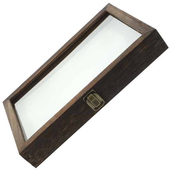Beaupretty Insect Specimen Box Wooden Display Case Assorted Color Transparent Lid Home Decor