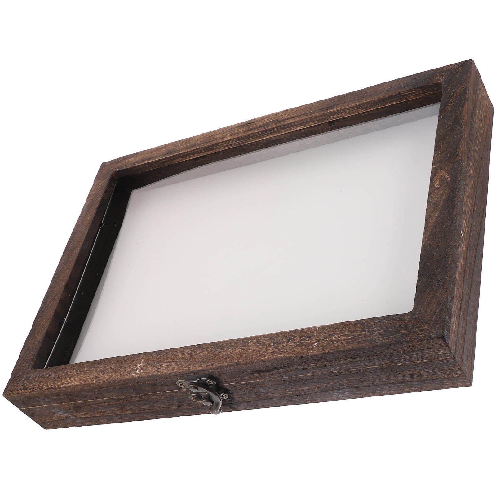 Beaupretty 1 Set Insect Specimen Display Case Wood Assorted Color ...