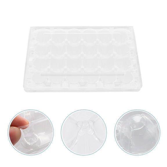 Beaupretty Transparent Plastic Quail Egg Storage Container for Home Use