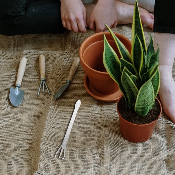 Beaupretty Garden Rake Stainless Steel Precision Tines for Soil Loosening