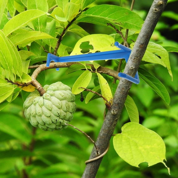 Beaupretty 20Pcs Fruit Branch Spreaders for Plants with Comfortable Grip and Easy Transport