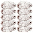 thumbnail image 1 of Beaupretty 50pcs Invisible Hair Nets Round Shape For Food Service Employees, 1 of 8