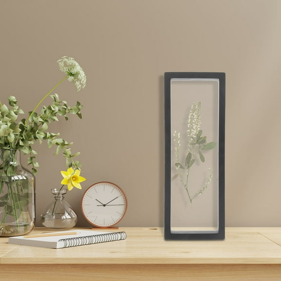 Beaupretty Coin Collection Display Case 3D Floating Frame Shadow Box Black Plastic 1Pcs for Collectors