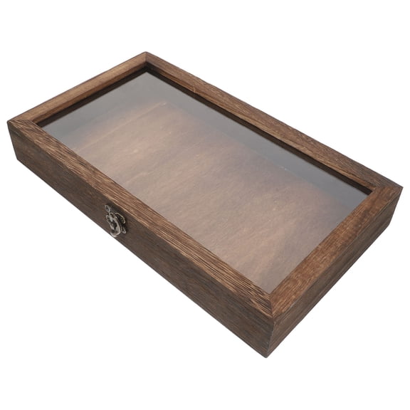 Beaupretty Insect Display Box Multi-Color Wood for Display and Preservation