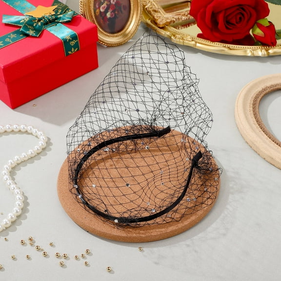 Beaupretty Black Mesh Birdcage Veil for Hair Styling Use Fashionable Design