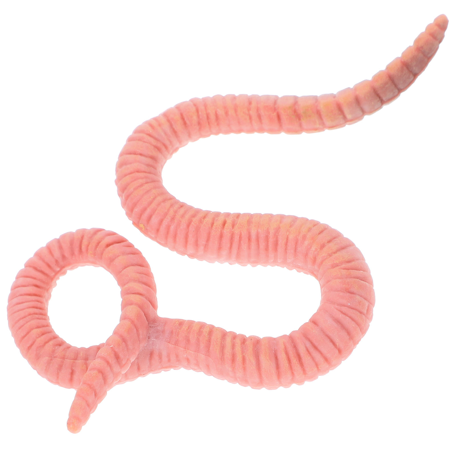Beaupretty Earthworm Recognition Model Simulated Earthworm Model ...