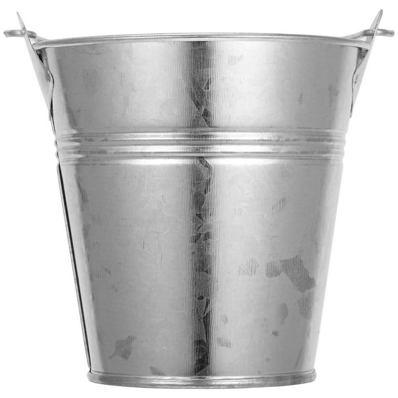 Beaupretty Compact Iron Bucket with Handle for Multi-Functional Storage