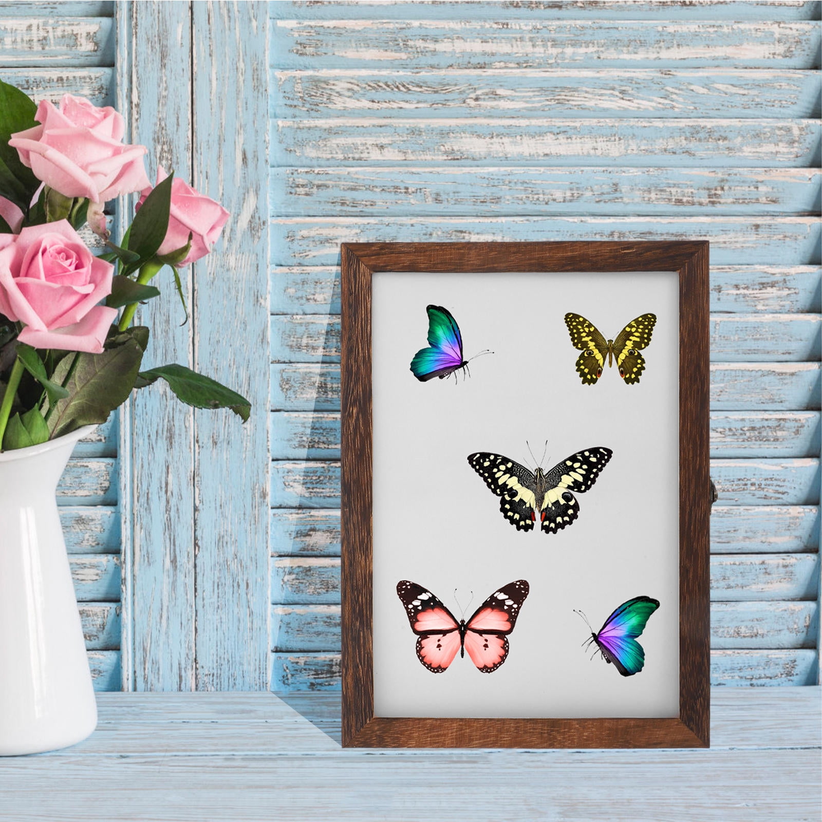 Beaupretty Insect Specimen Display Box Transparent Carbon Fiber Hood ...