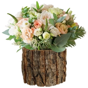 Beaupretty Wood Log Planter Natural Rustic for Kitchen Counter 1Pcs