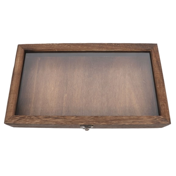 Beaupretty Multi-Color Wooden Insect Display Box for Convenient Preservation and Visual Appeal