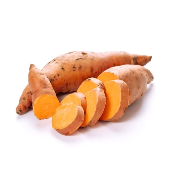 Beauregard Sweet Potato Slips for Planting - Grow Your Own Orange/Red Sweet Potatos (10 Plant Slips)
