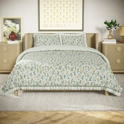 Beautiful 100% Cotton Botanical 3-Piece Sage Green Comforter Set, Full/Queen by Drew Barrymore
