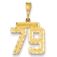 thumbnail image 1 of Beautiful 14k Medium Diamond-cut Number 79 Charm, 1 of 1
