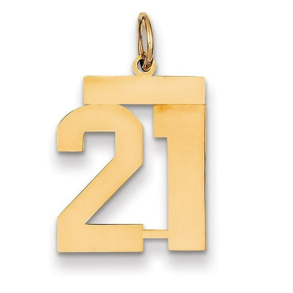 Beautiful 14k Medium Polished Number 21 Charm