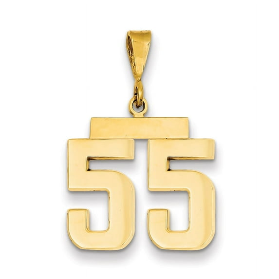 Beautiful 14k Medium Polished Number 55 Charm