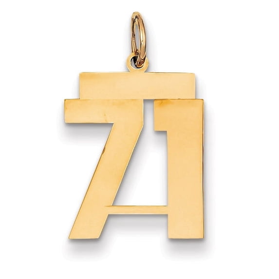 Beautiful 14k Medium Polished Number 71 Charm