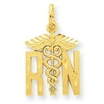 thumbnail image 1 of Beautiful 14k RN Nurse Charm, 1 of 2