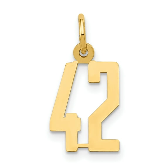 Beautiful 14k Small Polished Elongated 42 Charm