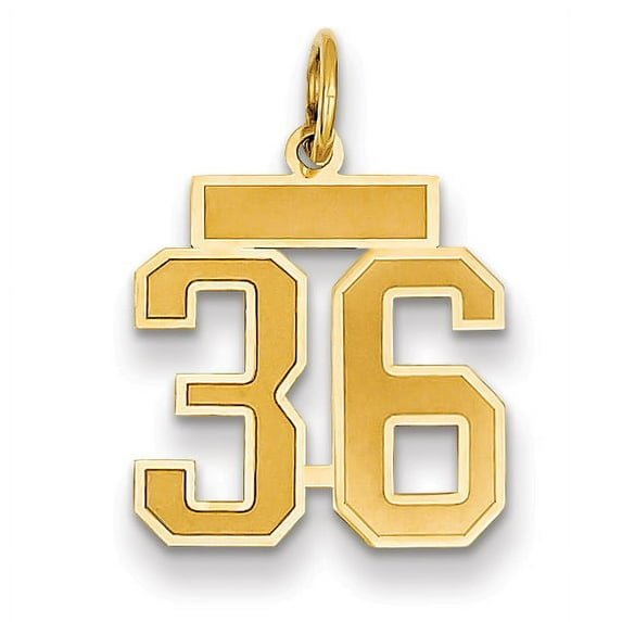 Beautiful 14k Small Satin Number 36 Charm