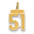 thumbnail image 1 of Beautiful 14k Small Satin Number 51 Charm, 1 of 1