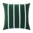 thumbnail image 1 of Beautiful 20" x 20" Thyme Green Stripe Velvet Decorative Pillow by Drew Barrymore, 1 of 5