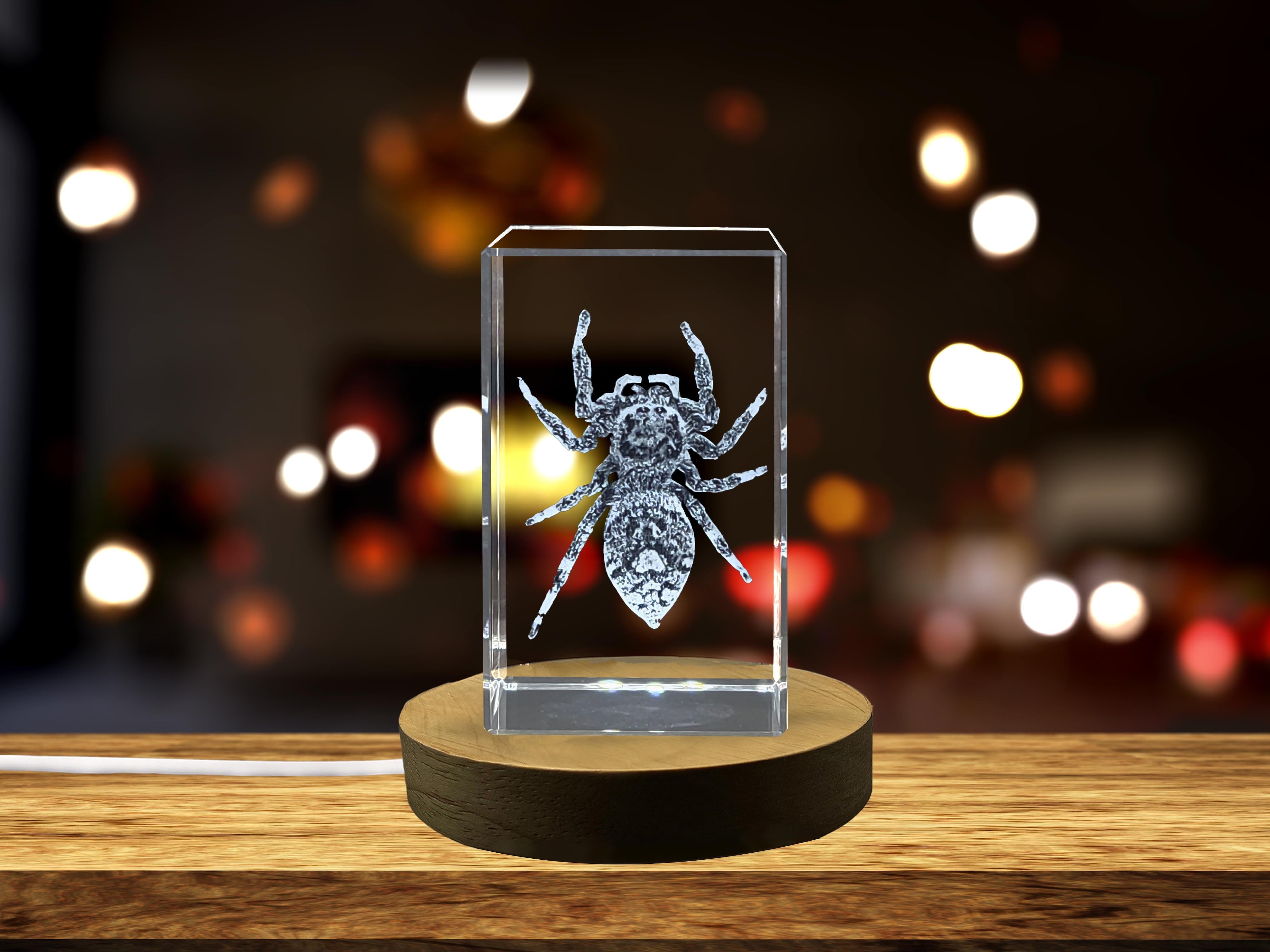 Beautiful 3D Engraved Crystal with Jumping Spider Design