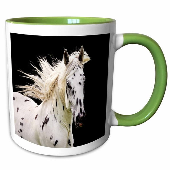3drose, Beautiful Appaloosa Horse, 11oz Two-tone Green Mug