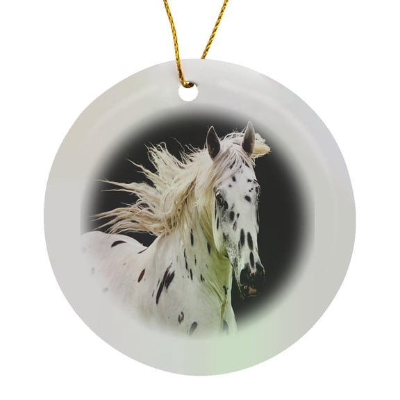 3drose, Beautiful Appaloosa Horse, Circle Porcelain Ornament
