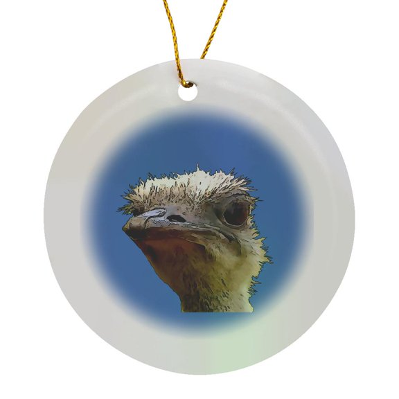 3drose, Beautiful Artistic Grumpy Ostrich Vector Cut Out, Circle Porcelain Ornament