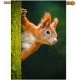 thumbnail image 1 of Beautiful Autumn Nature Wild Animal Cute Red Squirrel Looking From Behind Tree House Flag 28" x 40" Double Sided Polyester Welcome Large Yard Garden Flag for Patio Lawn Home Outdoor Decor, 1 of 6
