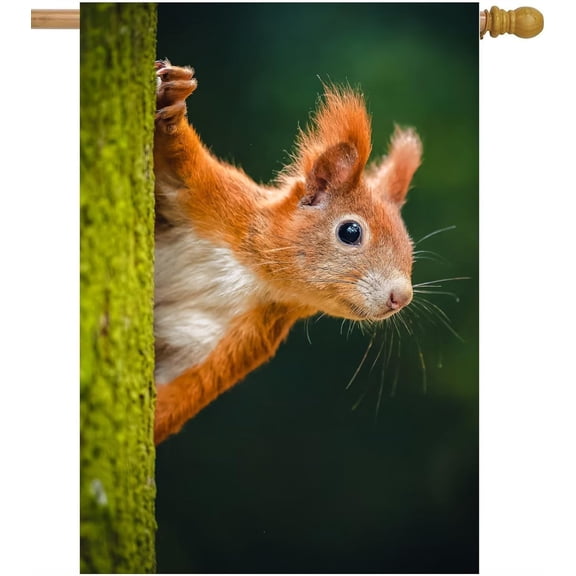 Beautiful Autumn Nature Wild Animal Cute Red Squirrel Looking From Behind Tree House Flag 28" x 40" Double Sided Polyester Welcome Large Yard Garden Flag for Patio Lawn Home Outdoor Decor