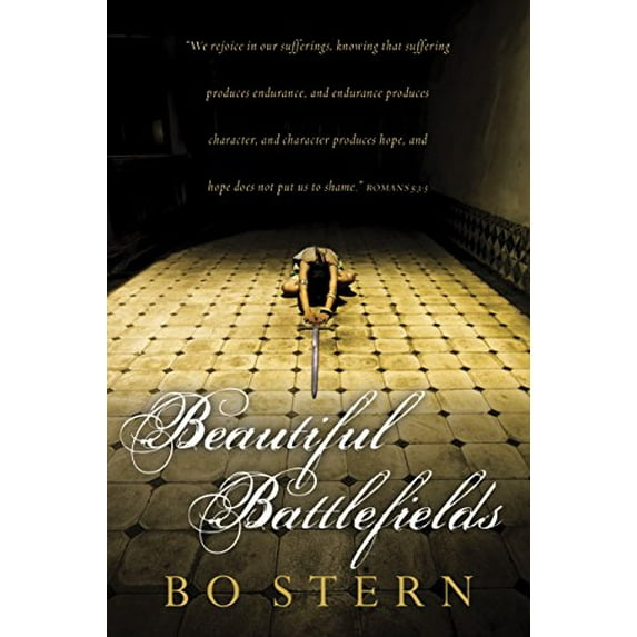 Pre-Owned Beautiful Battlefields (Paperback) 1612913199 9781612913193